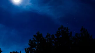 Πανσέληνος στο Λέοντα στις 5/2/2023. Ποια είναι τα 4 ζώδια που θα κάνουν αιφνιδιαστικές αλλαγές και πως θα επηρεαστούν τα υπόλοιπα;