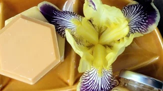 Κεραλοιφή | Τι ιδιότητες έχει, πώς να την χρησιμοποιήσεις και πώς θα φτιάξεις μόνη σου την παλιά συνταγή που έγινε τάση