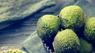 Συνταγές με τσάι matcha: 10 διαφορετικοί τρόποι να το βάλoυμε στα γεύματά μας