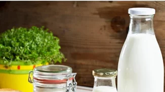 Γαλακτοκομικά για αδυνάτισμα, ενέργεια και υγεία: Ποιο τυρί, γιαούρτι ή γάλα να επιλέξεις για κάθε ανάγκη