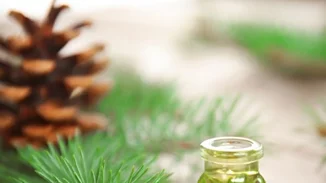 7 τροφές που μπορούν να ελέγξουν την όρεξή σου