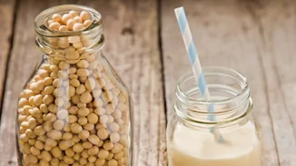 10 εναλλακτικές πηγές προβιοτικών για vegan (Τουλάχιστον τις 3 δεν τις έχεις ξανακούσει)