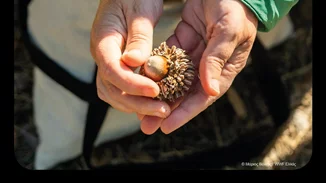 " Ώρα Της Γης 2023": Η μεγαλύτερη ώρα για τη Γη