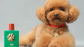 Dolce & Gabbana | To νέο πολυτελές άρωμα του οίκου απευθύνεται σε... σκύλους