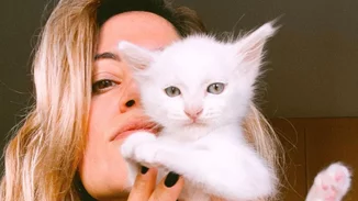 Γάτες και εγκυμοσύνη: Οι συμβουλές της Μαίρης Συνατσάκη από την εμπειρία της