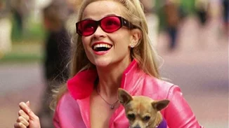 H ταινία "Η εκδίκηση της Ξανθιάς" γίνεται σειρά