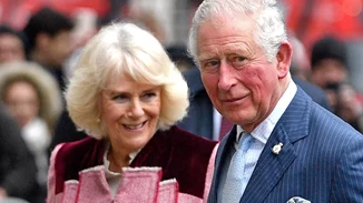 Βρετανία | Τρόμος στον αέρα για τη βασίλισσα Καμίλα - Το αεροπλάνο της συγκρούστηκε με πουλί [εικόνες, βίντεο]