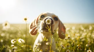 Καιρός: Πτώση θερμοκρασίας και τοπικές βροχές σήμερα - Πώς θα είναι το τριήμερο της Πρωτομαγιάς