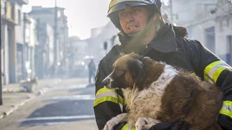 Αγώνας για να σωθούν τα πυρόπληκτα ζώα - 148 έφτασαν στο Γαλάτσι από Κερατέα, Καλύβια, Λαγονήσι