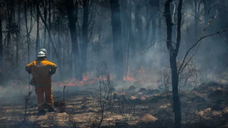 Οι συνθήκες θυμίζουν 2021 με τις φωτιές σε Αττική και Εύβοια - Πολύ υψηλή επικινδυνότητα