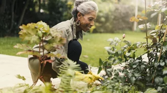 Τα χόμπι σχετίζονται με καλύτερη ψυχική ευεξία των ατόμων άνω των 65 ετών