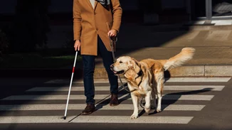 Pet City και Lara Guide Dog School | Ένα νέο κεφάλαιο στη δράση Act Pawsitive