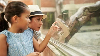 Βόλος | Οχιά δάγκωσε τέσσερις φορές 4χρονη - Θετικές οι εξελίξεις για την υγεία της