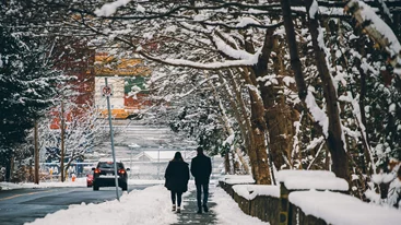 Τα ζώδια σήμερα 24/01 | Ημερήσιες προβλέψεις για κάθε ζώδιo
