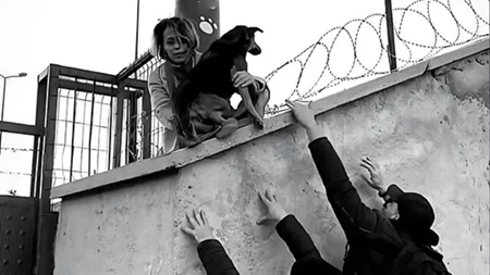 ΕΜΣΤ | Δύο βραδιές προβολών και μια ομιλία στο πλαίσιο της έκθεσης Why Look at Animals? – Δικαιοσύνη για τη μη ανθρώπινη ζωή