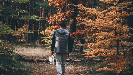 Τα ζώδια σήμερα 15/11 | Ημερήσιες προβλέψεις για κάθε ζώδιo