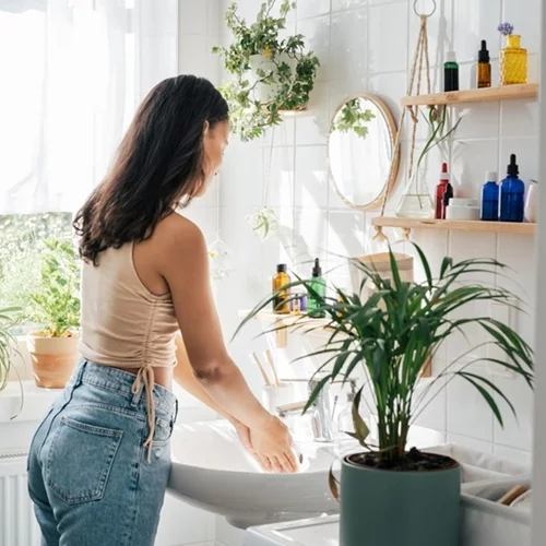 Γιατί το μπάνιο είναι το ιδανικό δωμάτιο για τα φυτά σου
