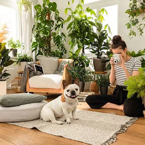 Πώς θα μετατρέψεις το χώρο σου σε πράσινη όαση