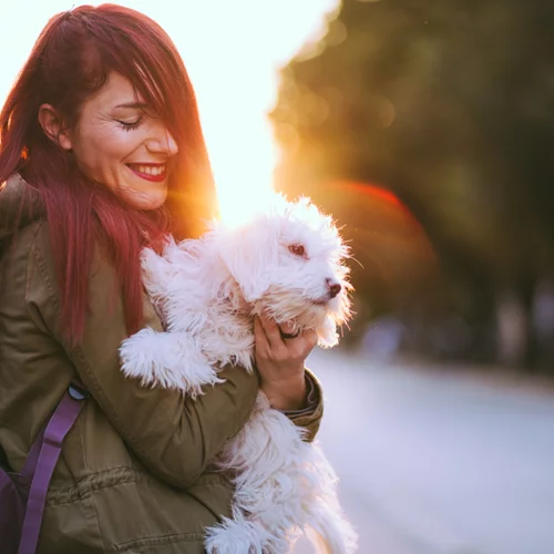 Νέα Σελήνη στο Λέοντα στις 8 Αυγούστου | Πώς επηρεάζονται τα ζώδια;