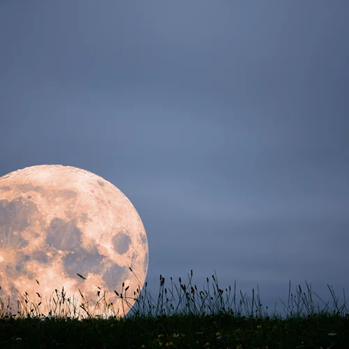 Αυγουστιάτικη Πανσέληνος 9/8: Αυτά τα 4 ζώδια θα δουν την αλήθεια που τόσο καιρό απέφευγαν - η πιο σκληρή πανσέληνος του έτους