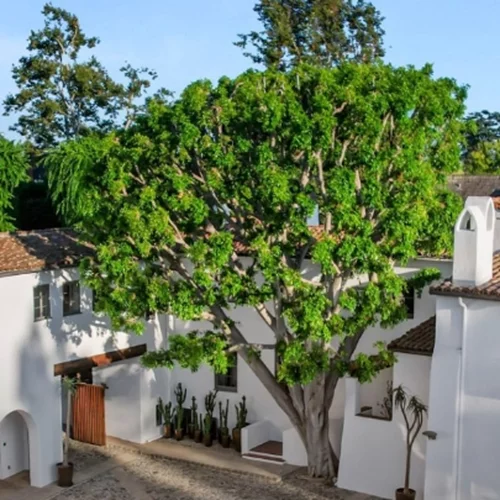 Το αρχοντικό του Χάουαρντ Χιουζ στο Λ.A. διατίθεται προς πώληση για 23 εκατ. δολάρια