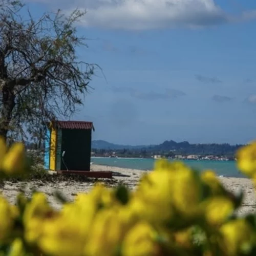 Αίθριος ο καιρός σήμερα, έως 22 βαθμούς ο υδράργυρος - Πού θα εκδηλωθούν τοπικές βροχές