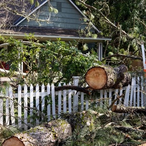 Ηράκλειο | Εικόνες καταστροφής από την κακοκαιρία - Στην περιοχή κυβερνητικό κλιμάκιο [Εικόνες - Βίντεο]