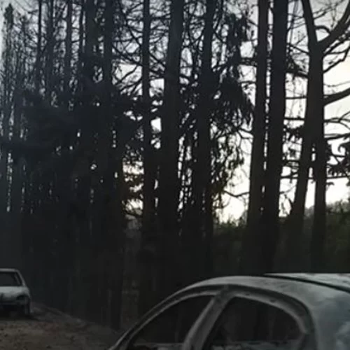 Τέσσερα χρόνια από την τραγωδία στο Μάτι | Αδημοσίευτο υλικό από τη φονική φωτιά [εικόνες, βίντεο]