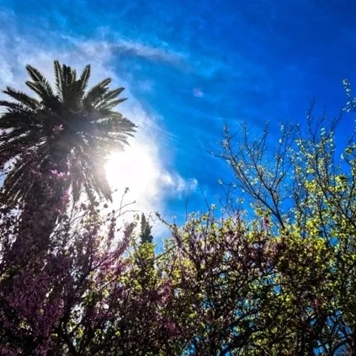 Καιρός | Λιακάδα και υψηλές για την εποχή θερμοκρασίες - Τους 28 βαθμούς θα αγγίξει ο υδράργυρος