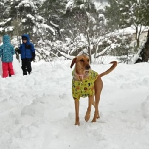 Κακοκαιρία Avgi | Υποχωρούν τα έντονα καιρικά φαινόμενα - Σε ποιες περιοχές επιμένουν τα χιόνια και το τσουχτερό κρύο