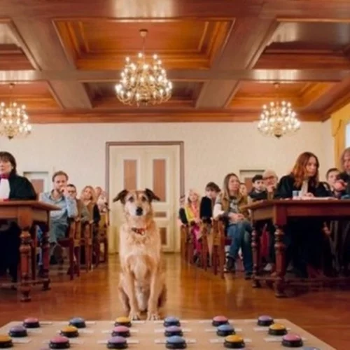 Palm Dog για τον Κοντί, τον τετράποδο πρωταγωνιστή της ταινίας "Le procès du chien"