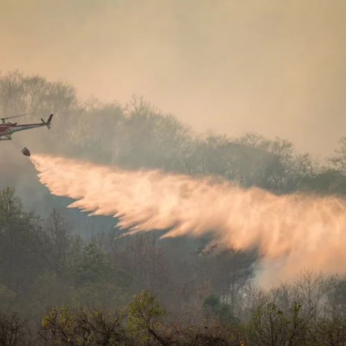 Φωτιά στην Αλεξανδρούπολη | Βρέθηκαν δύο ακόμη σοροί - Συνεχίζεται η μάχη με τις φλόγες
