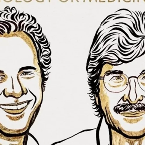 Νόμπελ Ιατρικής 2024 | Στους Victor Ambros και Gary Ruvkun