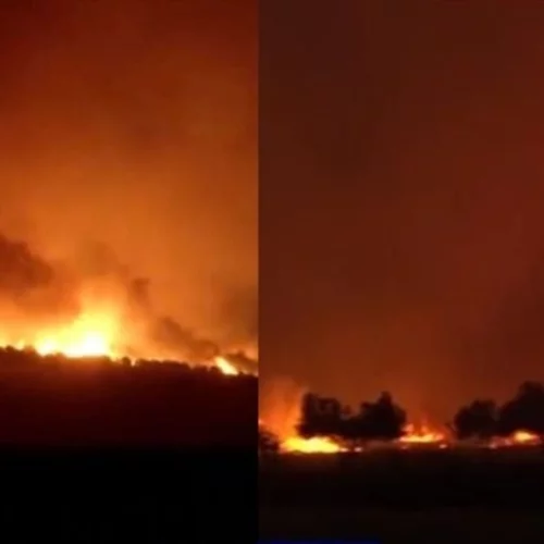 Φωτιά στην Αλεξανδρούπολη | Ολονύχτια μάχη με τις φλόγες και τα μποφόρ – Ενισχύσεις από Ήπειρο και Θεσσαλία