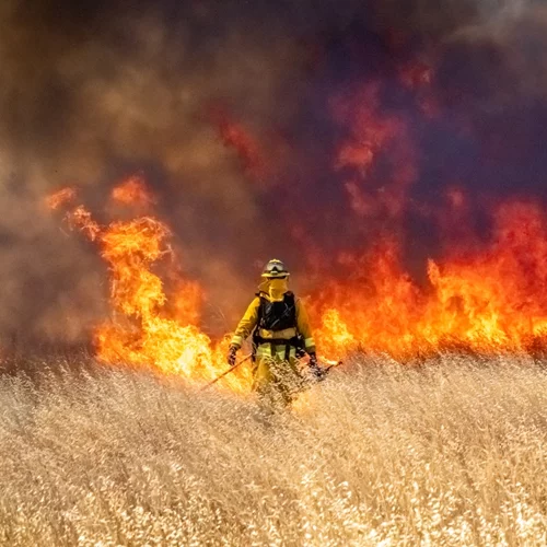 Συνεχίζεται η μάχη με τις αναζωπυρώσεις στον Έβρο - Χωρίς ενεργό μέτωπο η φωτιά στα Φάρσαλα