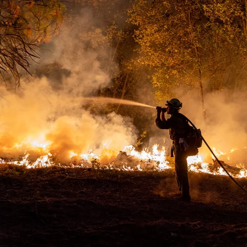 Φωτιές - Οι ποινές | Ένας χρόνος φυλακή για τους "εξ αμελείας" εμπρηστές, έως 10 χρόνια αν κινδυνεύσει άνθρωπος - Ποιοι απειλούνται με ισόβια