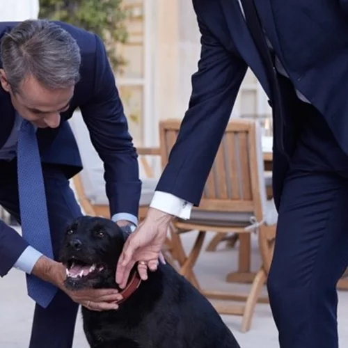 Ψάχνοντας τον Nemo στο Ελιζέ |  Όταν ο Μητσοτάκης συνάντησε τον σκύλο του Μαcron [εικόνες - βίντεο]