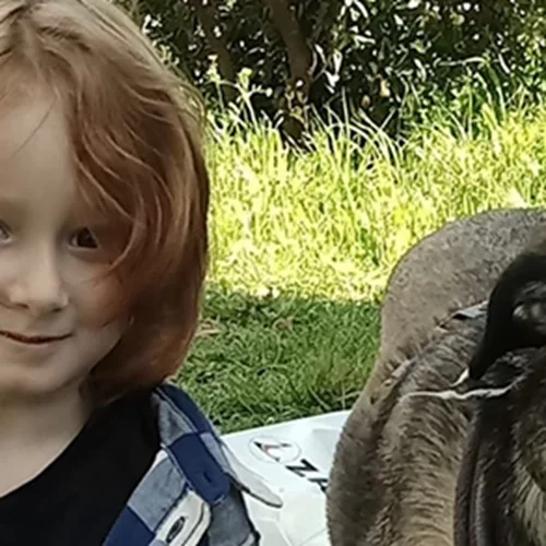 Θρίλερ με την αρπαγή του 6χρονου | Πιθανόν να είναι ήδη εκτός Ελλάδας - Δραματική έκκληση της μητέρας: "Βοηθήστε με"