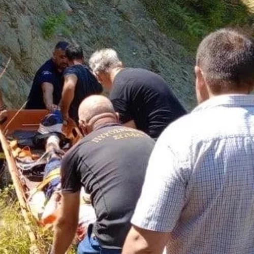 "Τρέξε να τον σώσεις, τον έχει φάει αρκούδα": Η ανατριχιαστική περιγραφή αυτόπτη μάρτυρα για την επίθεση σε 67χρονο