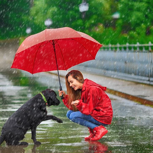 Τα ζώδια σήμερα 25/4 | Ημερήσιες προβλέψεις για κάθε ζώδιο