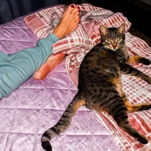 "Soft Walls" | Ένα πολυεπίπεδο πρότζεκτ αφιερωμένο στη φωτογραφία