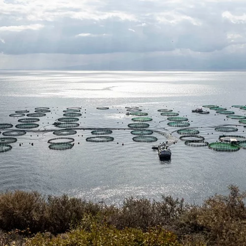 Η ΕΛΟΠΥ στηρίζει για 2η συνεχή χρονιά το Χαμόγελο του Παιδιού