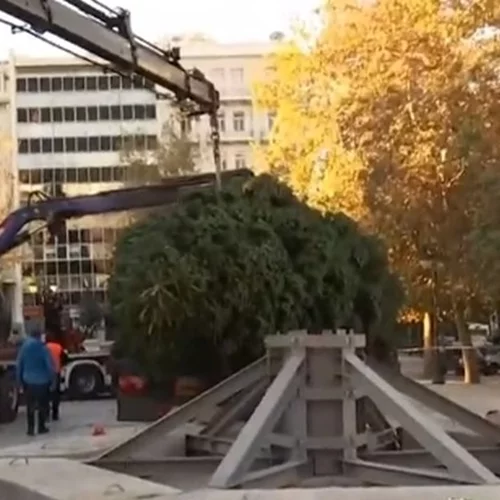 Το χριστουγεννιάτικο δέντρο στήθηκε στην πλατεία Συντάγματος - Έλατο 21 μέτρων από το Καρπενήσι [βίντεο]