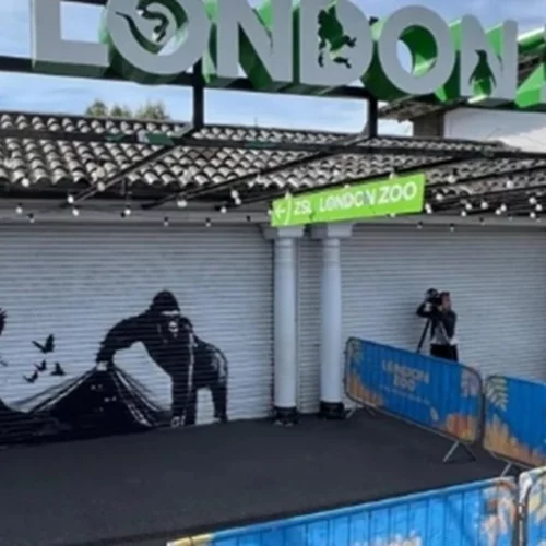 Ίσως η τελευταία τοιχογραφία του Μπάνκσι με ζώα