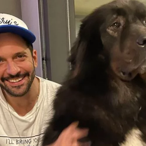 Δημήτρης Μοθωναίος | Το σημείωμα στο αυτοκίνητό του μετά τη συγκλονιστική συνέντευξή του