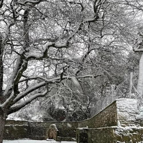 Κακοκαιρία Coral: Κύμα ψύχους με θυελλώδεις βοριάδες έως και τη Δευτέρα - Ποιες περιοχές μπαίνουν στην κατάψυξη