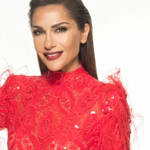 Όταν η Δέσποινα Βανδή μιλούσε ανοιχτά για τον έρωτα με τον Ντέμη Νικολαΐδη: "Δεν υπάρχει ο έρωτας των πρώτων μηνών. Θέλει πολλή δουλειά η σχέση"