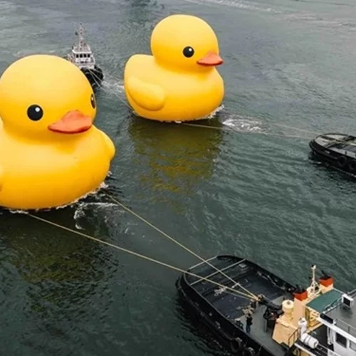 Rubber Duck | Η αγαπημένη λαστιχένια πάπια του Χονγκ Κονγκ