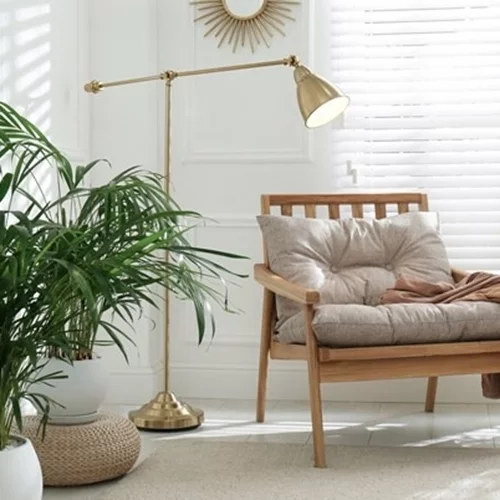 Τα 4 φυτά εσωτερικού χώρου που θα μετατρέψουν το σπίτι σου σε "όαση" δροσιάς το καλοκαίρι