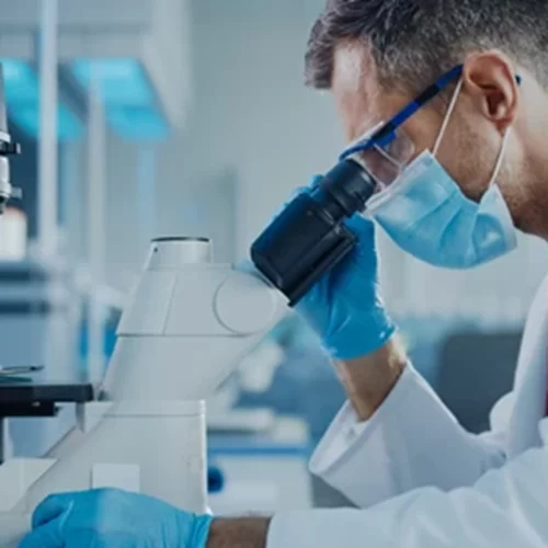 Νέος υγειονομικός συναγερμός | Αυξάνονται τα κρούσματα της ευλογιάς των πιθήκων - Τι ξέρουμε για τον ιό